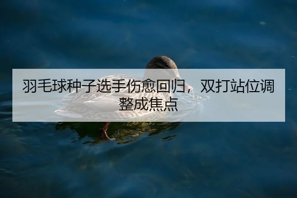 羽毛球种子选手伤愈回归，双打站位调整成焦点